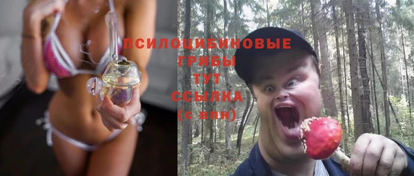 PSILOCYBIN Домодедово