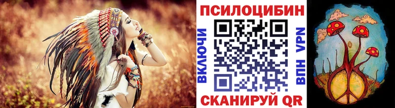Псилоцибиновые грибы Cubensis Елец